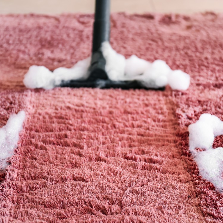 Carpet Cleaning in Santa Cruz, CA Carpet Cleaning in Santa Cruz, CA
