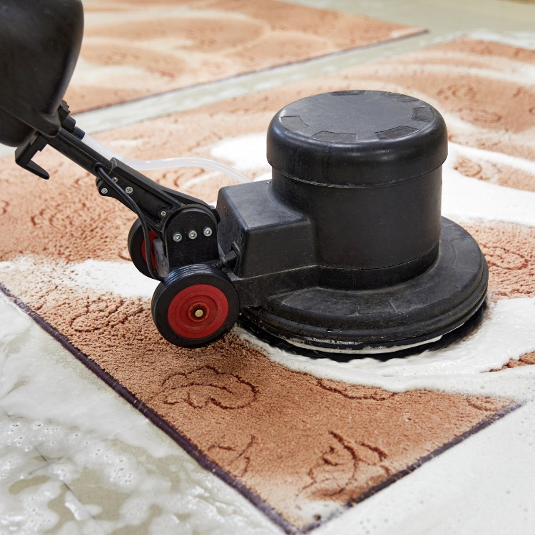 Carpet Cleaning in Santa Cruz, CA Carpet Cleaning in Santa Cruz, CA